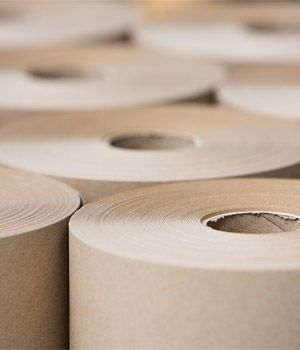 Pulp & Paper