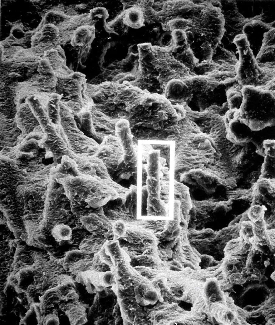 With silane: cohesive bond between resin and glass fibers.